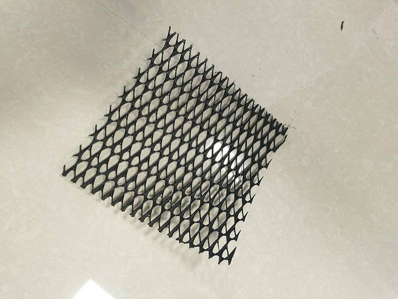 排水网
