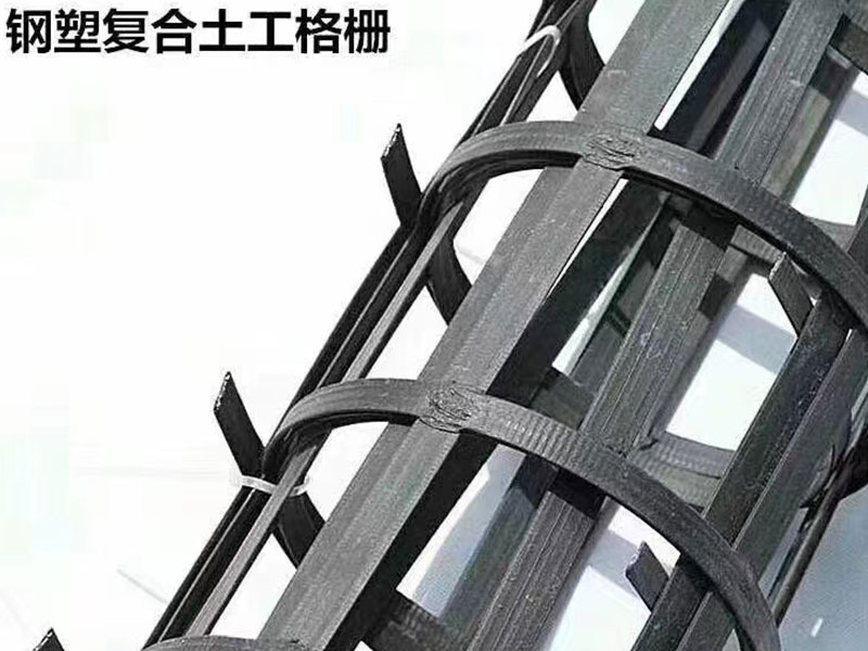 钢塑复合土工栅格