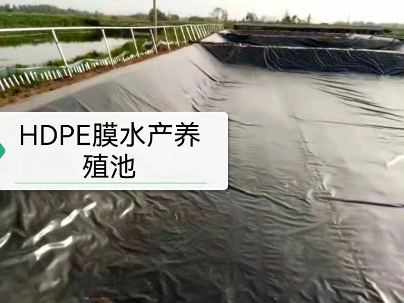 HDPE膜水产养殖池